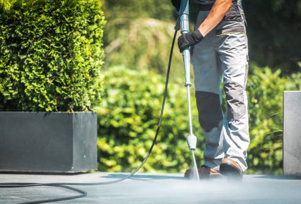 Best Patio and Deck Pressure Washing  in David City, NE