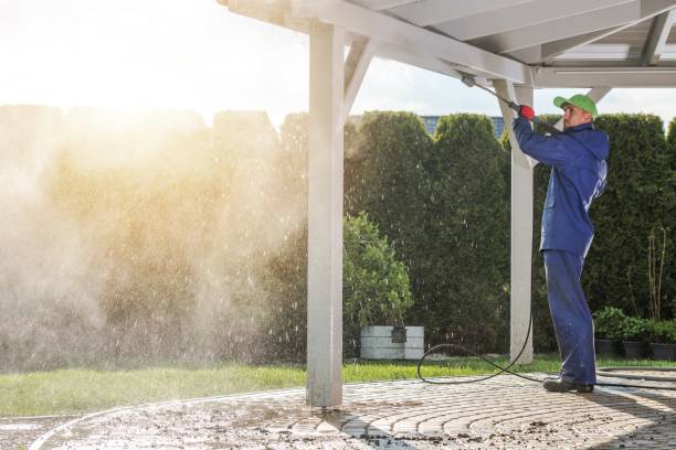 Best House Exterior Washing  in David City, NE